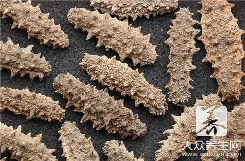 海蛰头功效作用有哪些