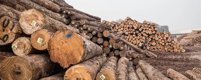 板材分类有哪些 常用的板材有哪些类型