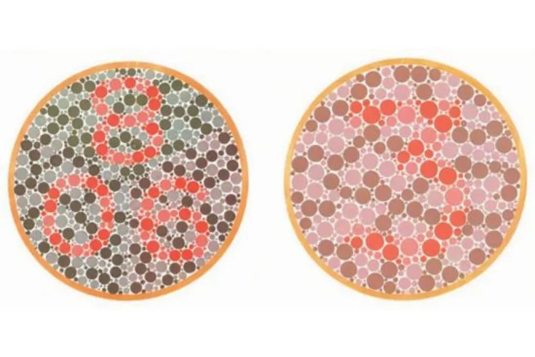 高考体检色盲色弱测试图