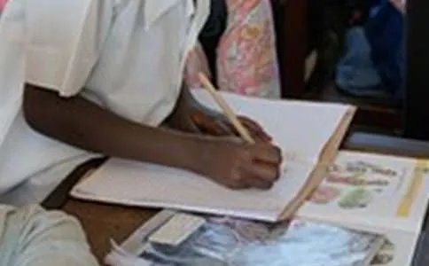 假如我是一棵树600字作文