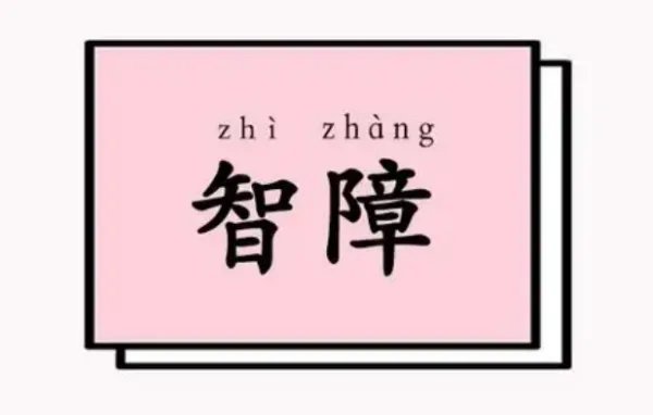 智障是什么意思