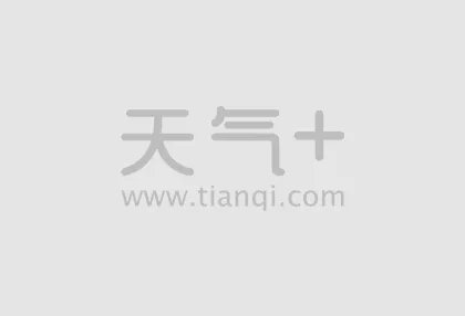 猖狂猴子发动公交车引发交通事故 咋不上天呢?