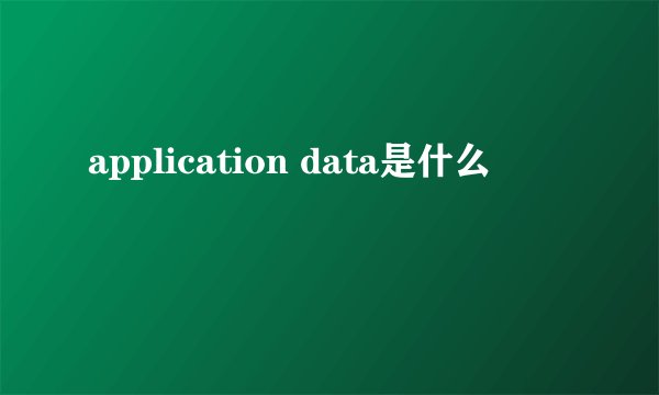 application data是什么