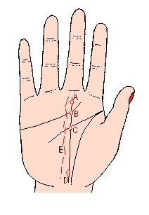 事业线图解，最详细的图文让你看懂事业线命运线