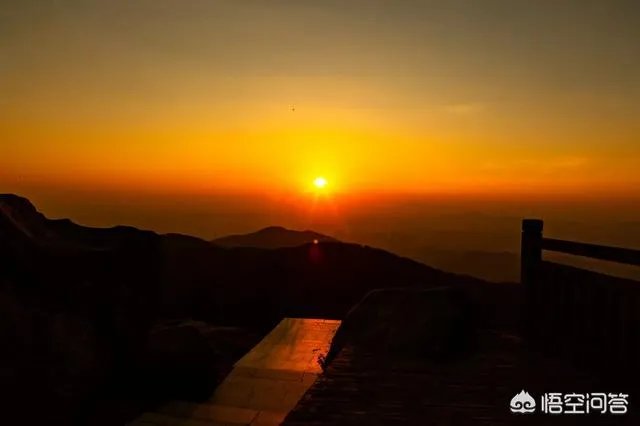 适马50-1.4art和佳能50-1.4的区别是什么？哪个更值得入手？