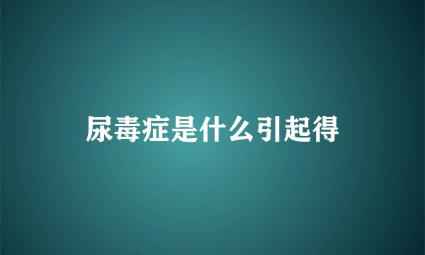 尿毒症是什么引起得