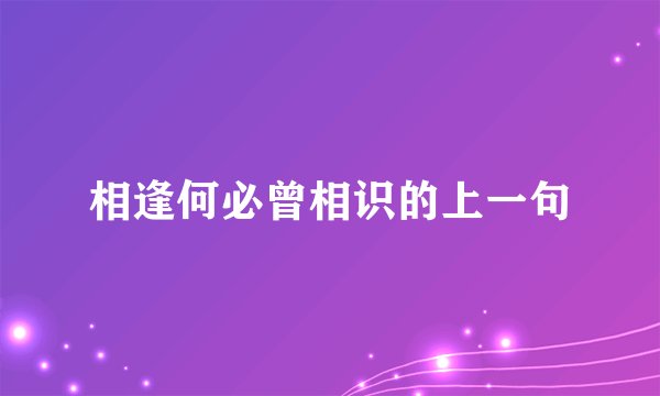 相逢何必曾相识的上一句
