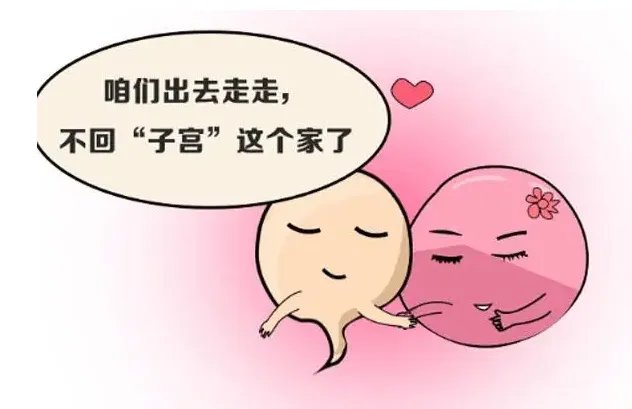 捐卵试管,三代试管生双胞胎-中山大学附属第一医院三代供供卵试管生男孩价格表(中山大学附属第二医院)