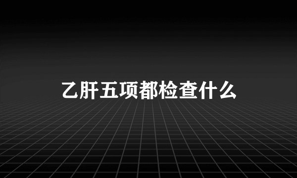 乙肝五项都检查什么