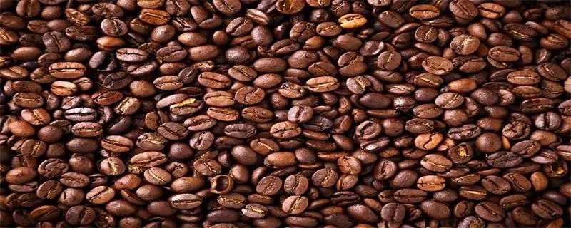 咖啡的种类
