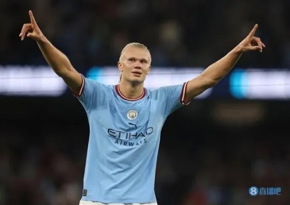 墨麒麟大叔遇上狼全集_墨麒麟大叔遇上狼日本电影免费