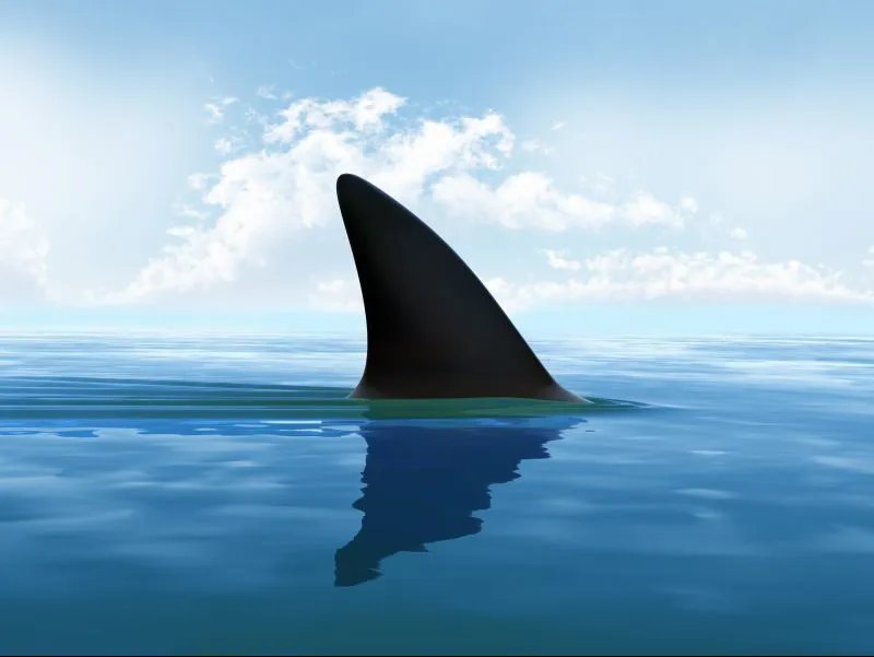 吃角鲨烯后一个月的效果