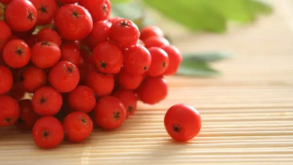 脂肪肝吃什么好