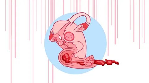 o型血和ab型血生出来的孩子是什么血型