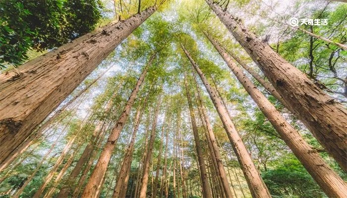 一年几个季度怎么划分