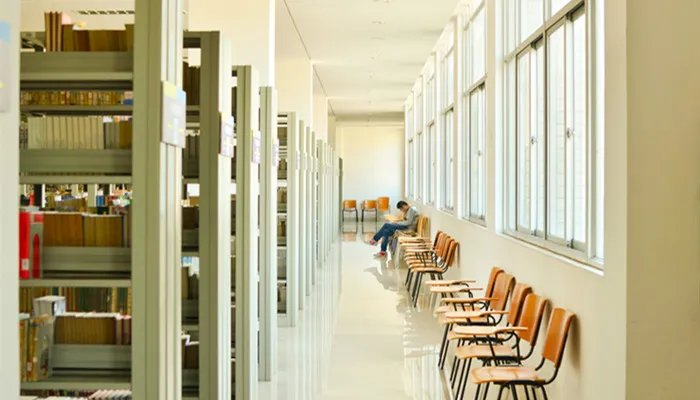 野鸡大学是什么意思