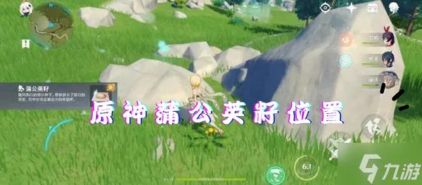 原神蒲公英籽在哪里