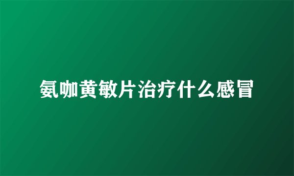 氨咖黄敏片治疗什么感冒
