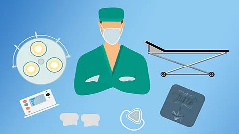 荔枝核的功效与作用