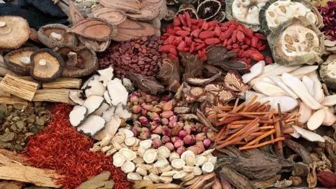 黄芪和什么搭配对补气补肾好