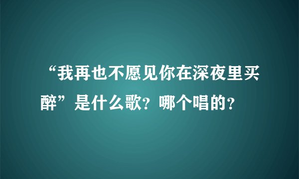 “我再也不愿见你在深夜里买醉”是什么歌？哪个唱的？