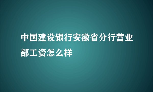 中国建设银行安徽省分行营业部工资怎么样