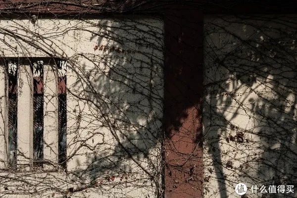 a6400开箱与三天使用体验 「多图预警!」