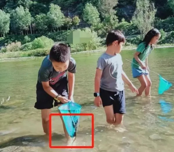 梅婷晒儿女露营正面照,女儿快快漂亮像妈妈,生活中的梅婷是个怎样的人?