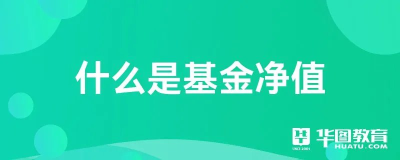 什么是基金净值