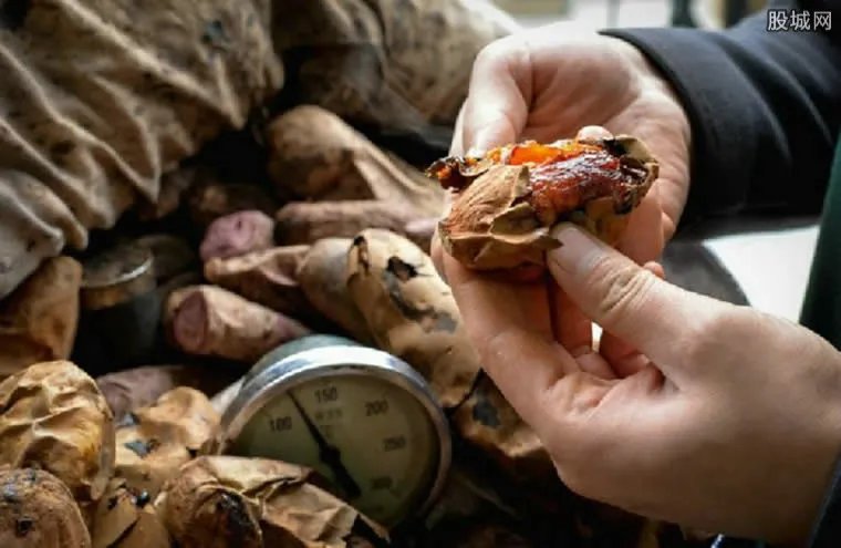 卖红薯求客别扫码 红薯一般价格多少钱一斤