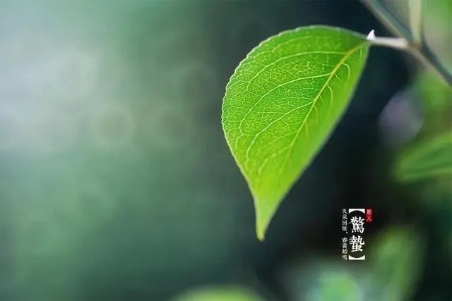 惊蛰是什么意思?