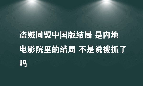 盗贼同盟中国版结局 是内地电影院里的结局 不是说被抓了吗