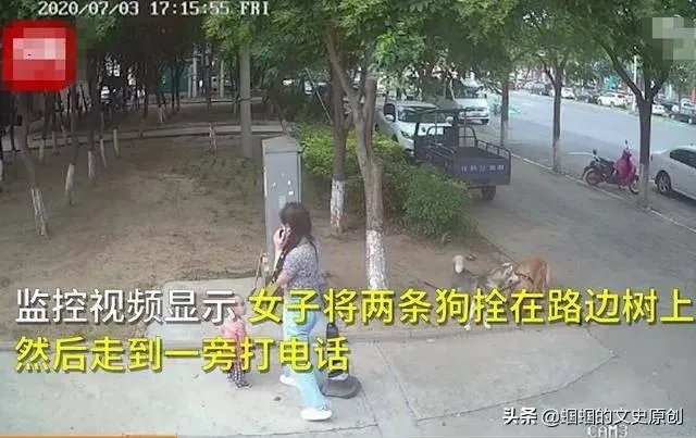 女子路边树上拴狗没让儿童靠近,老人骑车猛撞狗主人,你怎么看?