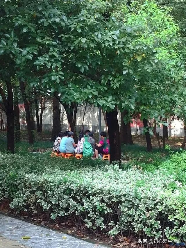 武汉新出现的疫情有多严峻,会影响学校开学吗?