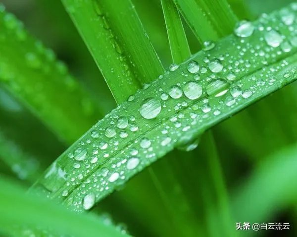 阴雨天如何拍出好照片?