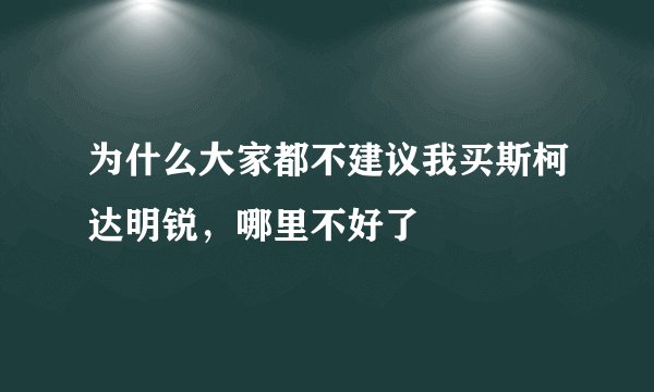为什么大家都不建议我买斯柯达明锐，哪里不好了