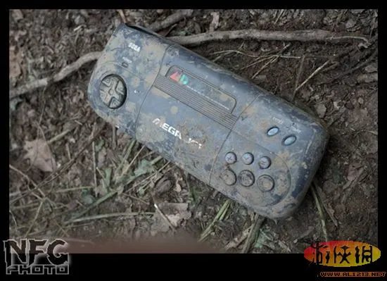 百年洪水来袭 澳洲玩家藏品惨遭洪水蹂躏(图)