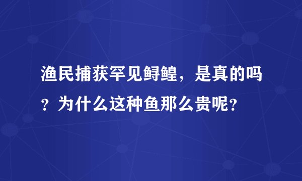 渔民捕获罕见鲟鳇，是真的吗？为什么这种鱼那么贵呢？
