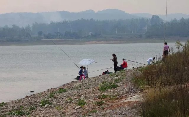 西安有哪些免费钓鱼的地方?