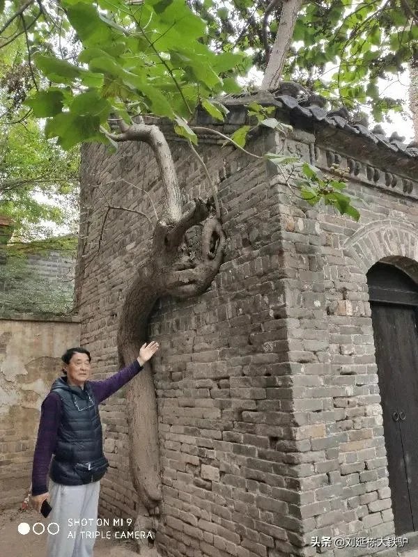 自行车爱好者去骑车旅行，准备个什么户外生存包较好？