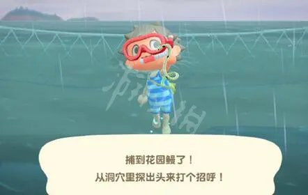 《集合啦动物森友会》潜水怎么抓东西 动森潜水抓鱼技巧