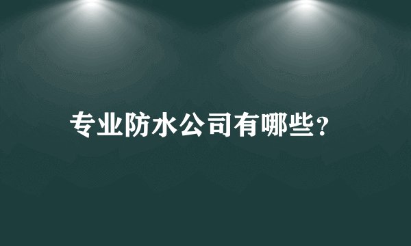 专业防水公司有哪些？