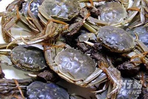 黄河口大闸蟹介绍_黄河口大闸蟹能放几天