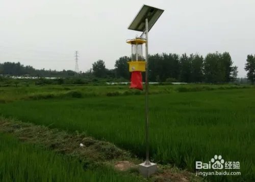 如何操作使用智慧物联网杀虫灯?