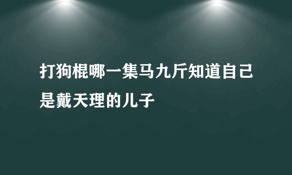 打狗棍哪一集马九斤知道自己是戴天理的儿子