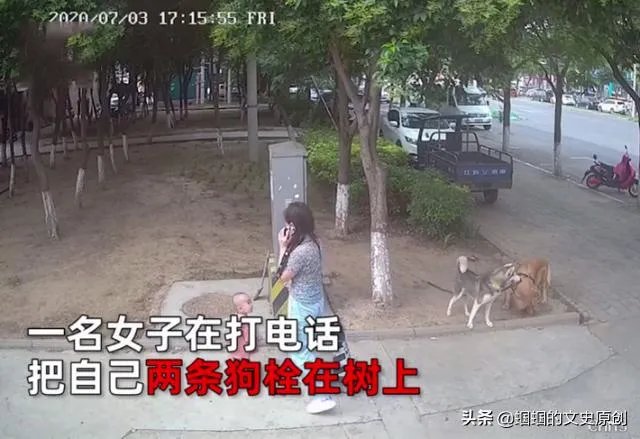 女子路边树上拴狗没让儿童靠近,老人骑车猛撞狗主人,你怎么看?
