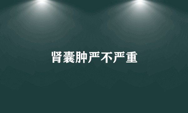 肾囊肿严不严重