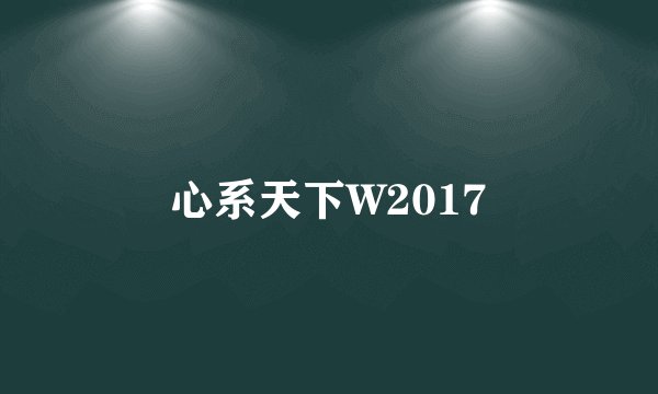 心系天下W2017