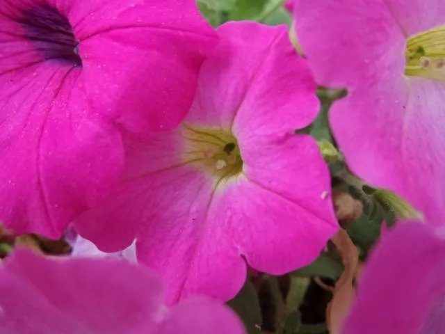 28种模式 三星GALAXY K Zoom拍照评测