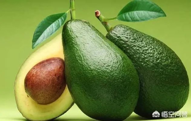 为什么智利和墨西哥都要争夺中国的牛油果市场？